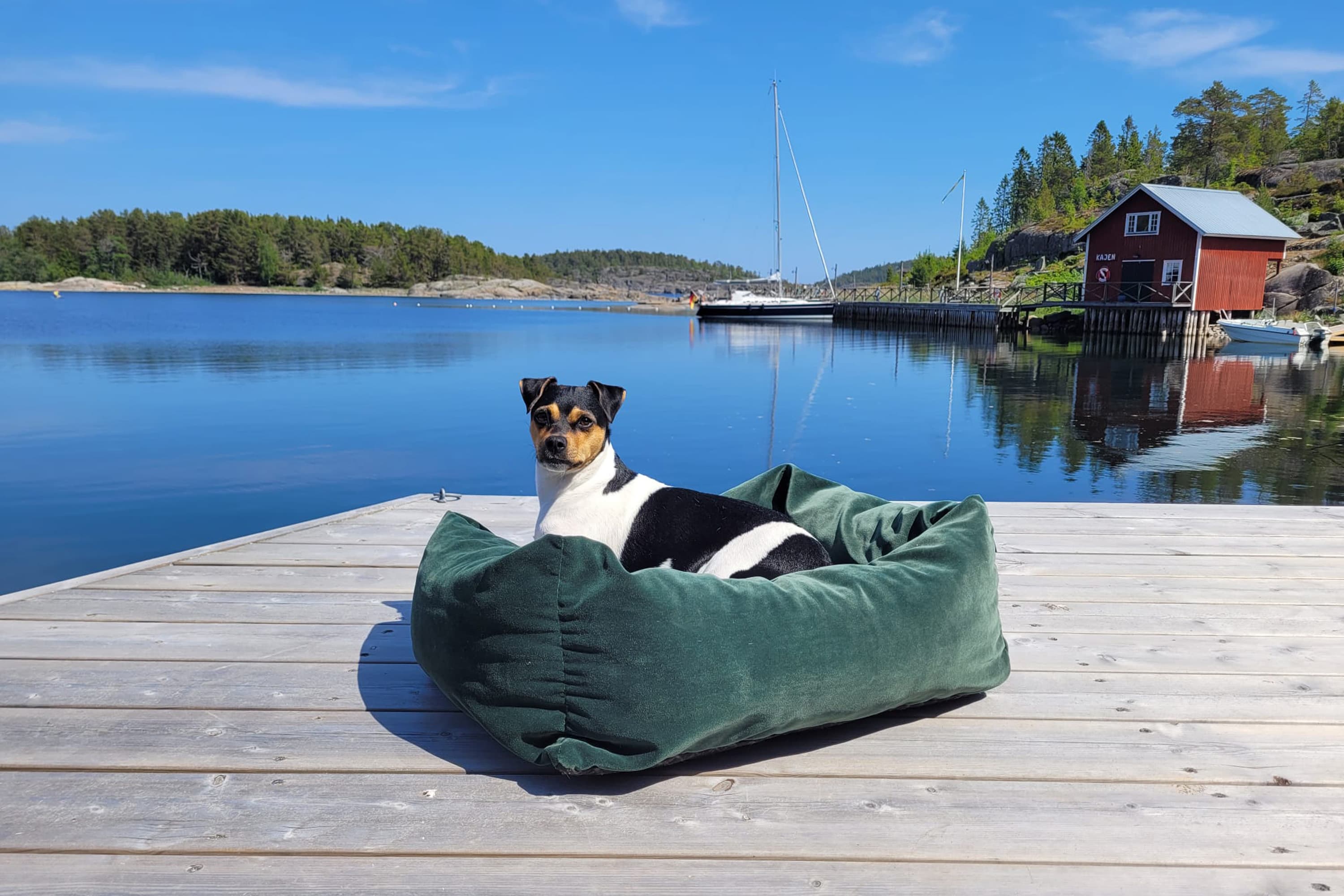 Grön hundbädd i tålig, tvättbar sammet.